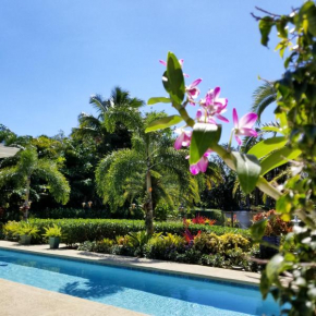 Tropical Studio with Private Kitchen and Bath